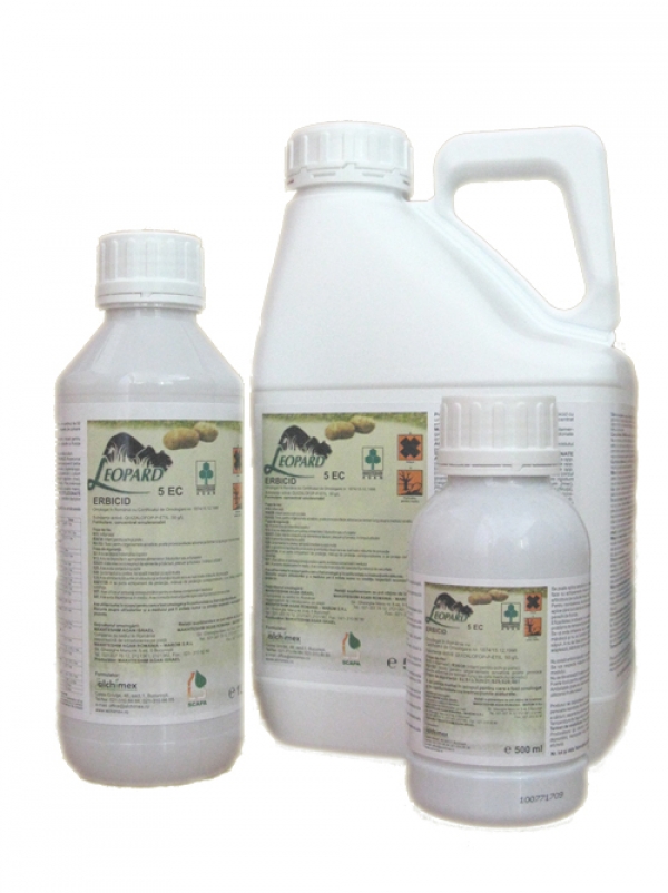 Leopard 5EC ( 100 MIL )